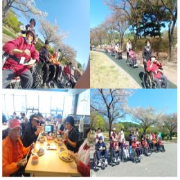 4월 벚꽃 야외 나들이